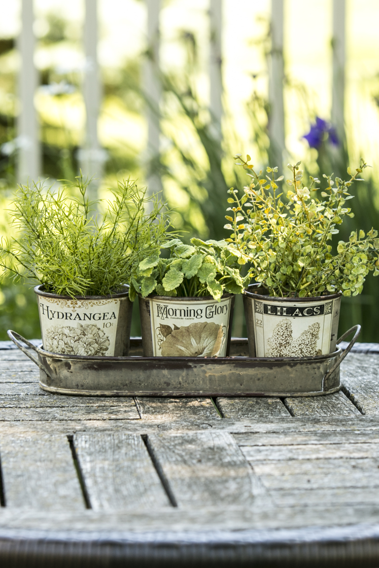 Herb Pots & Tray Heritage Lace