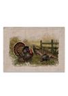 placemat-doily-set-thanksgiving-decor-table-linens-natural-wild-turkey