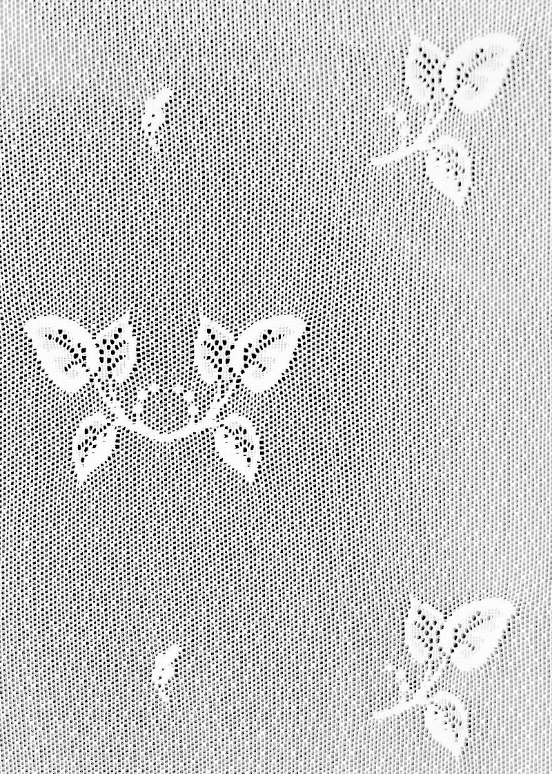 Heirloom Bolt Lace Heritage Lace