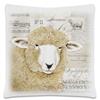 sheep-ewe-bleating-baaing-lamp-mutton-farmhouse-barn-barnyard